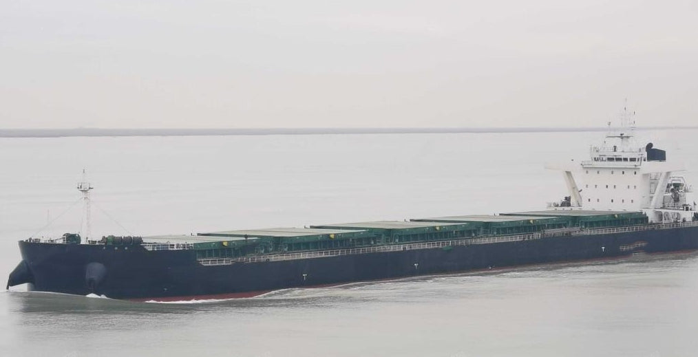 61100T BULK CARRIER