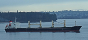 32500T BULK CARRIER